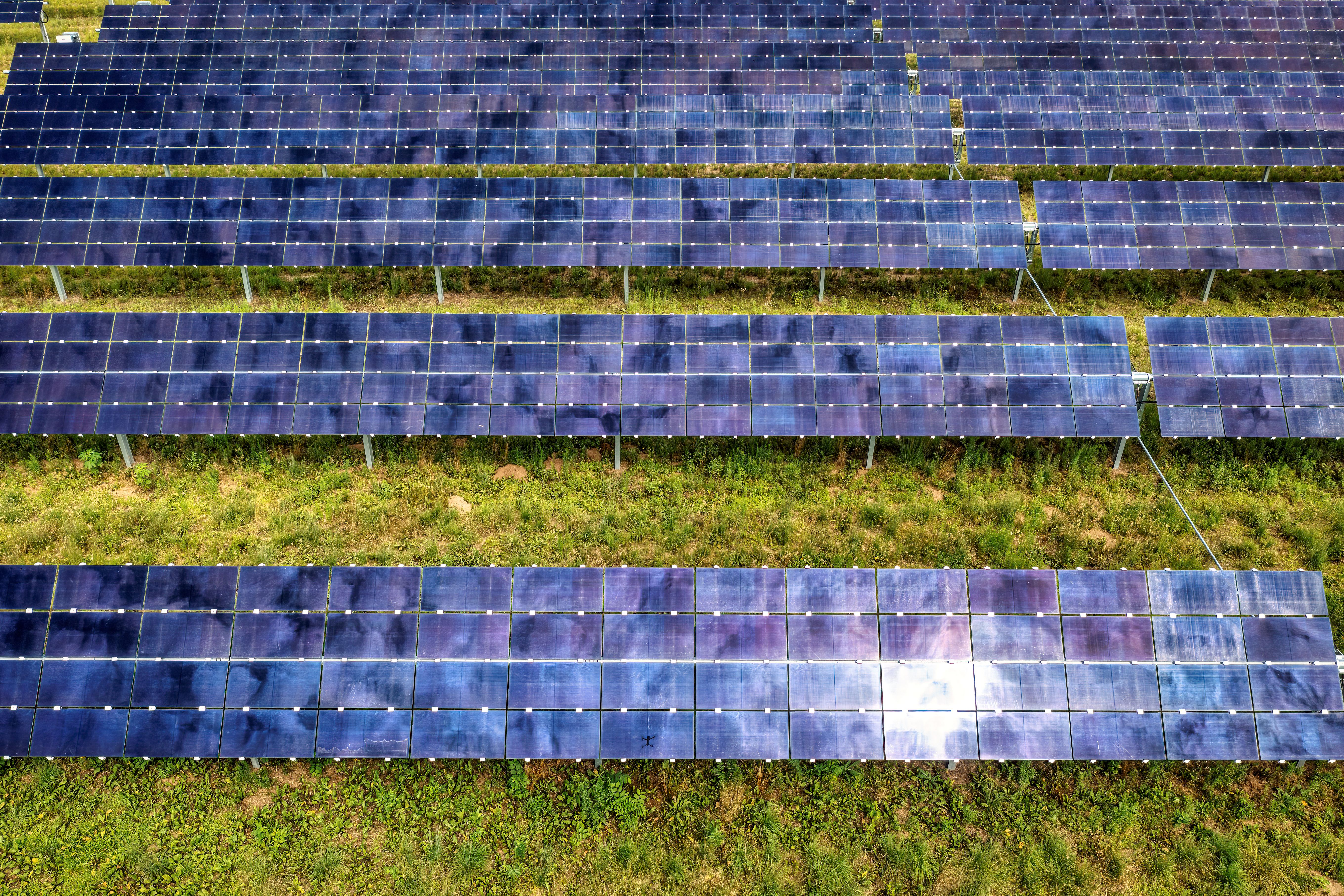 Maha Renewable Energy Expo (MAREE) 2026