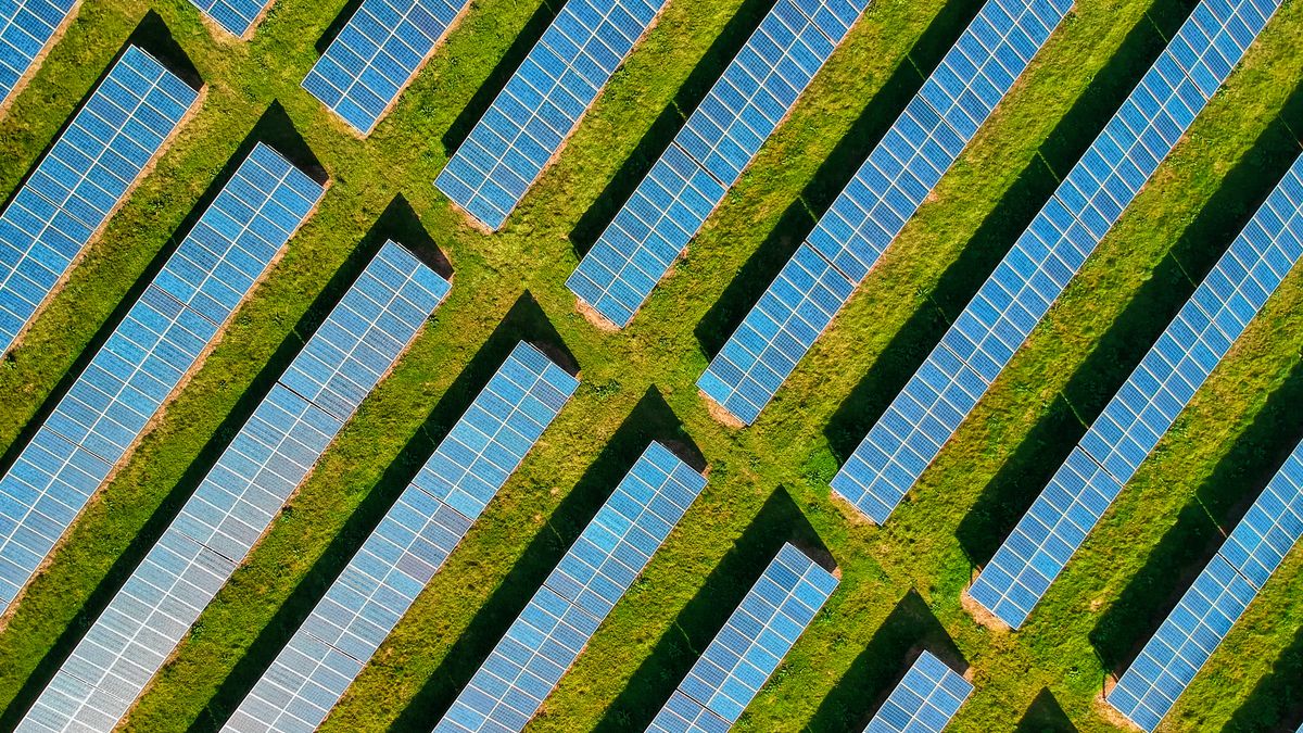 Renewable Energy India Expo 2026